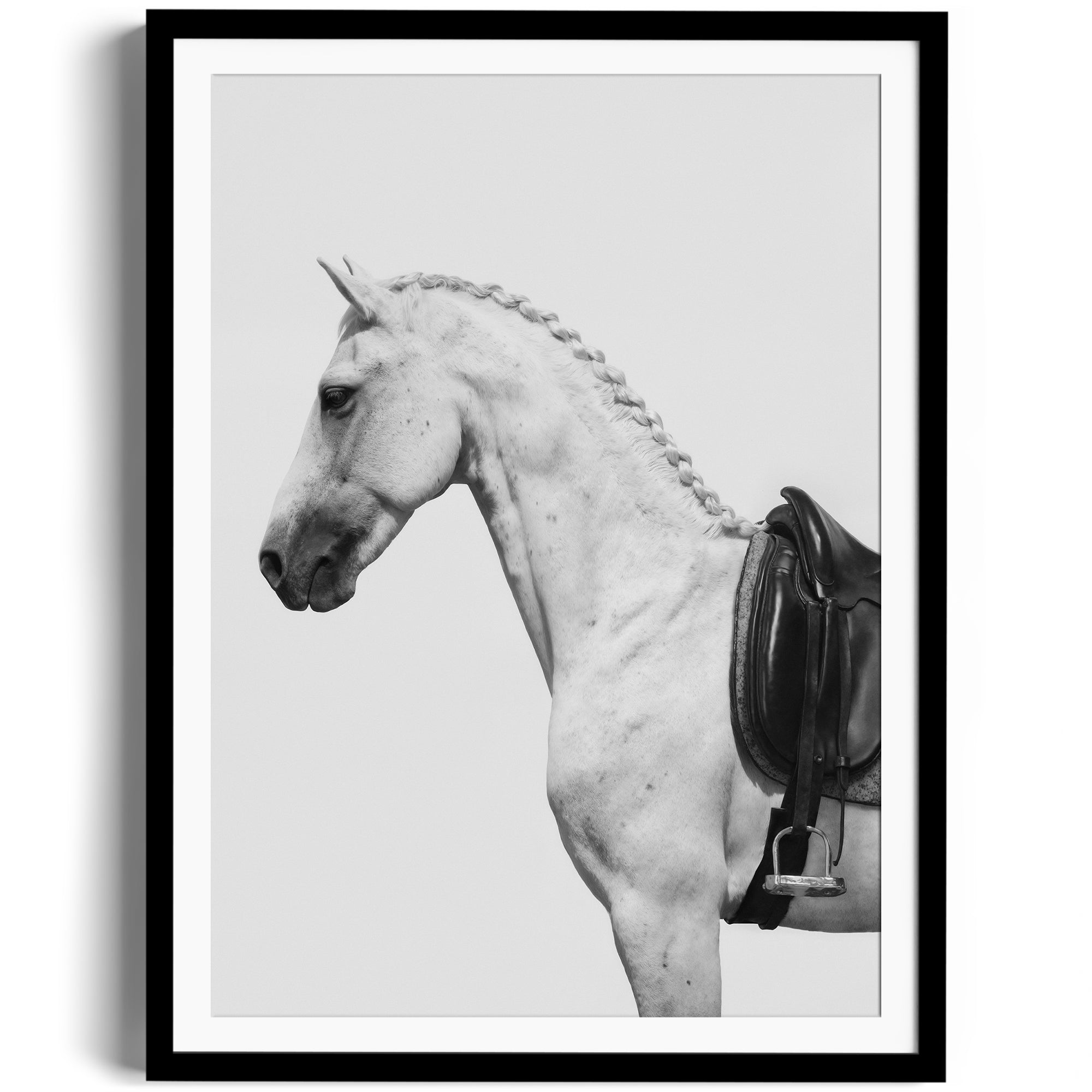 Limited edition fine art photography of a dappled grey horse with an English saddle, ready to hang in a contemporary art gallery.