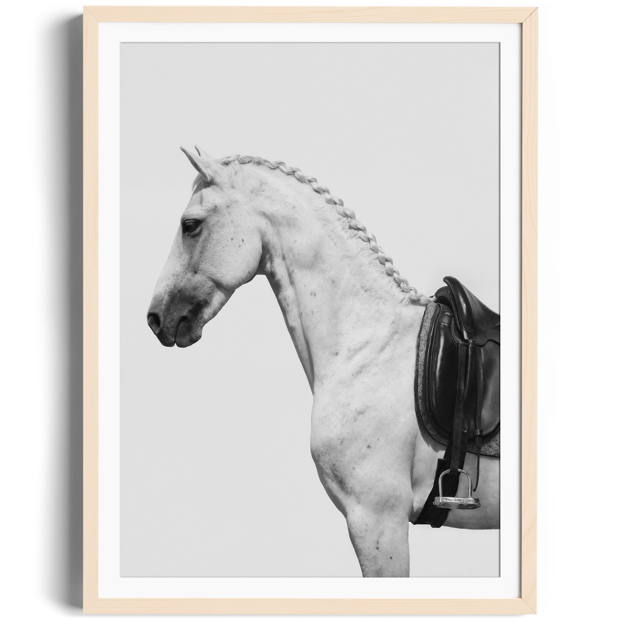 Fine art photography of a dappled grey horse with an English saddle, limited edition print ready to hang.