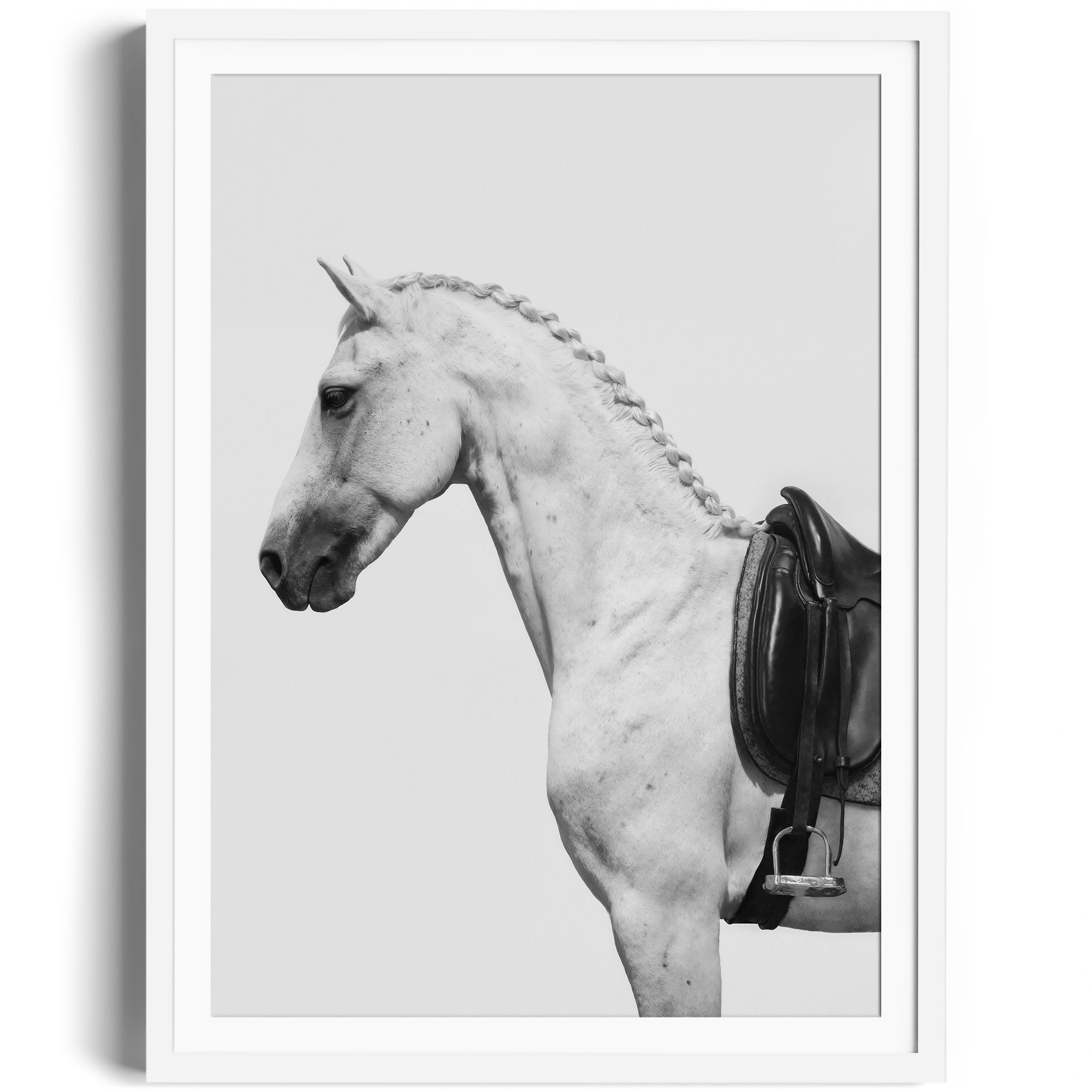 Monochrome fine art photography of a dappled grey horse with an English saddle, showcasing equestrian elegance. Limited edition print.