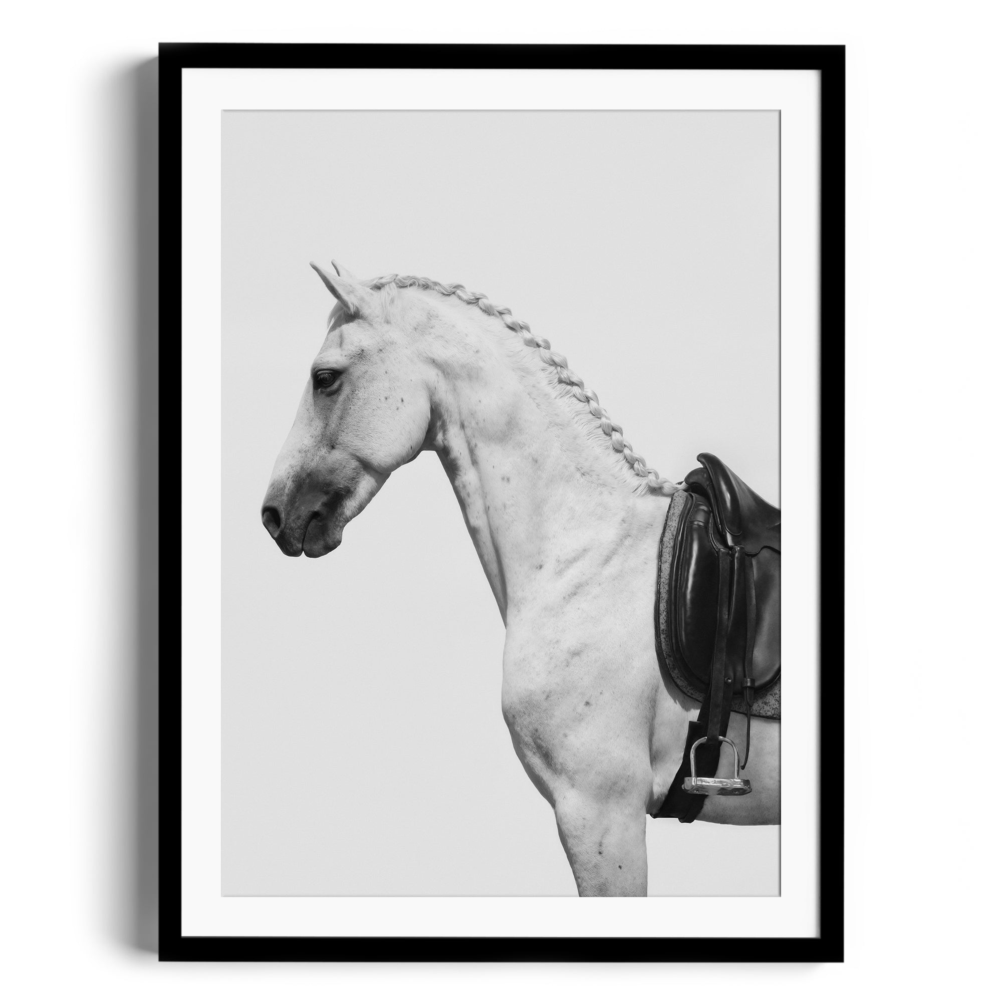 Black and white fine art photography of a dappled grey horse with an English saddle, limited edition print ready to hang.