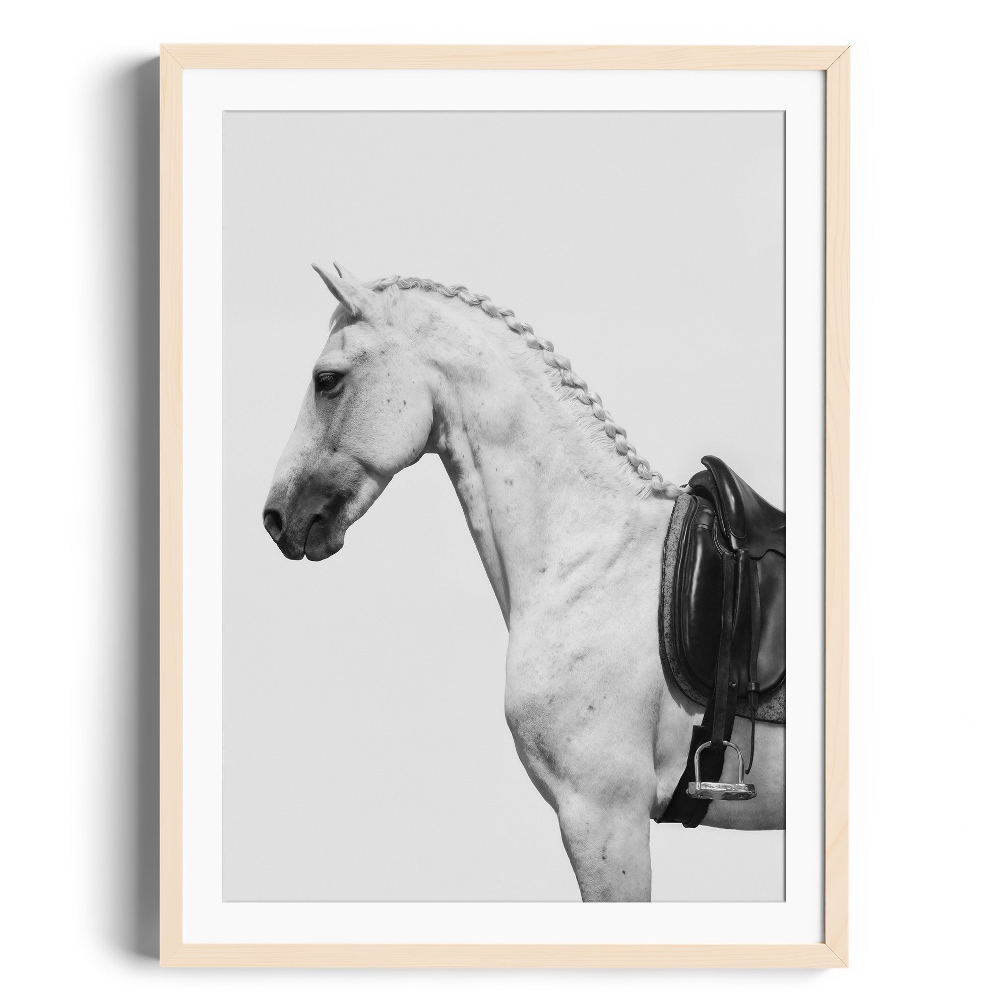 Fine art photography of a dappled grey horse with an English saddle, showcasing contemporary equestrian elegance in limited edition prints.