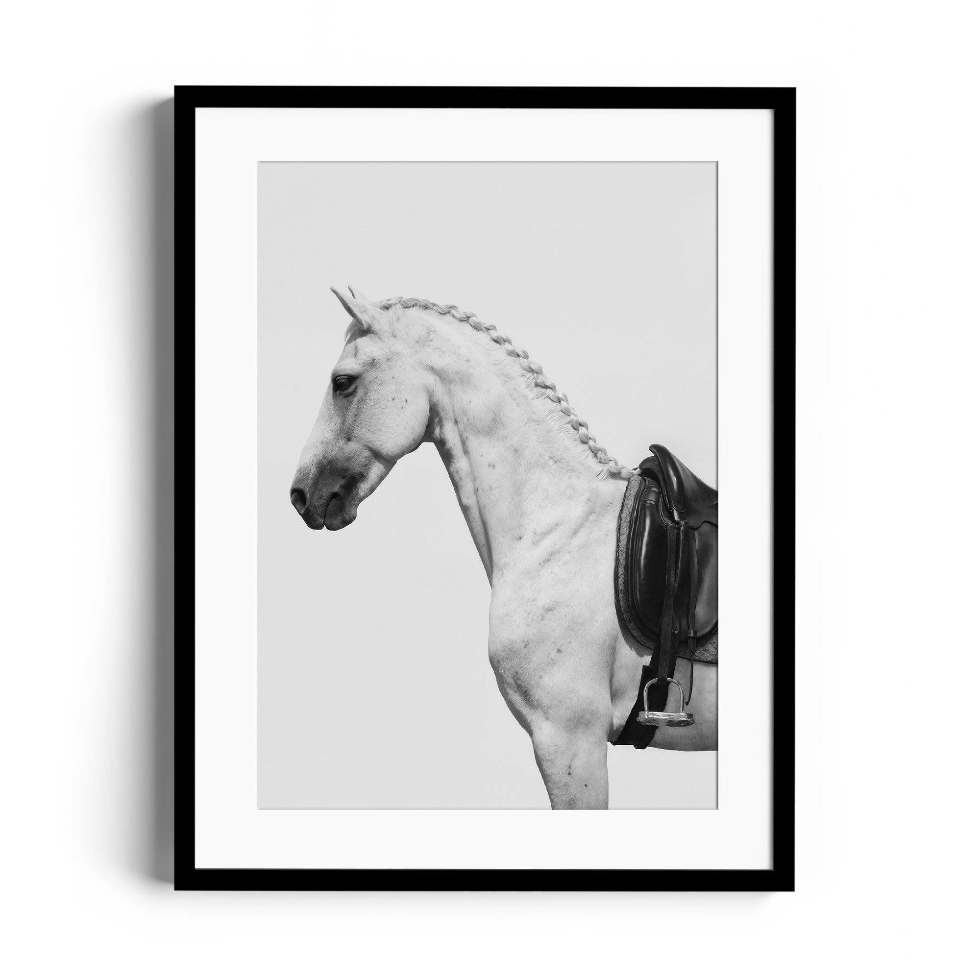 Fine art photography of a dappled grey horse with an English saddle, limited edition print ready to hang.