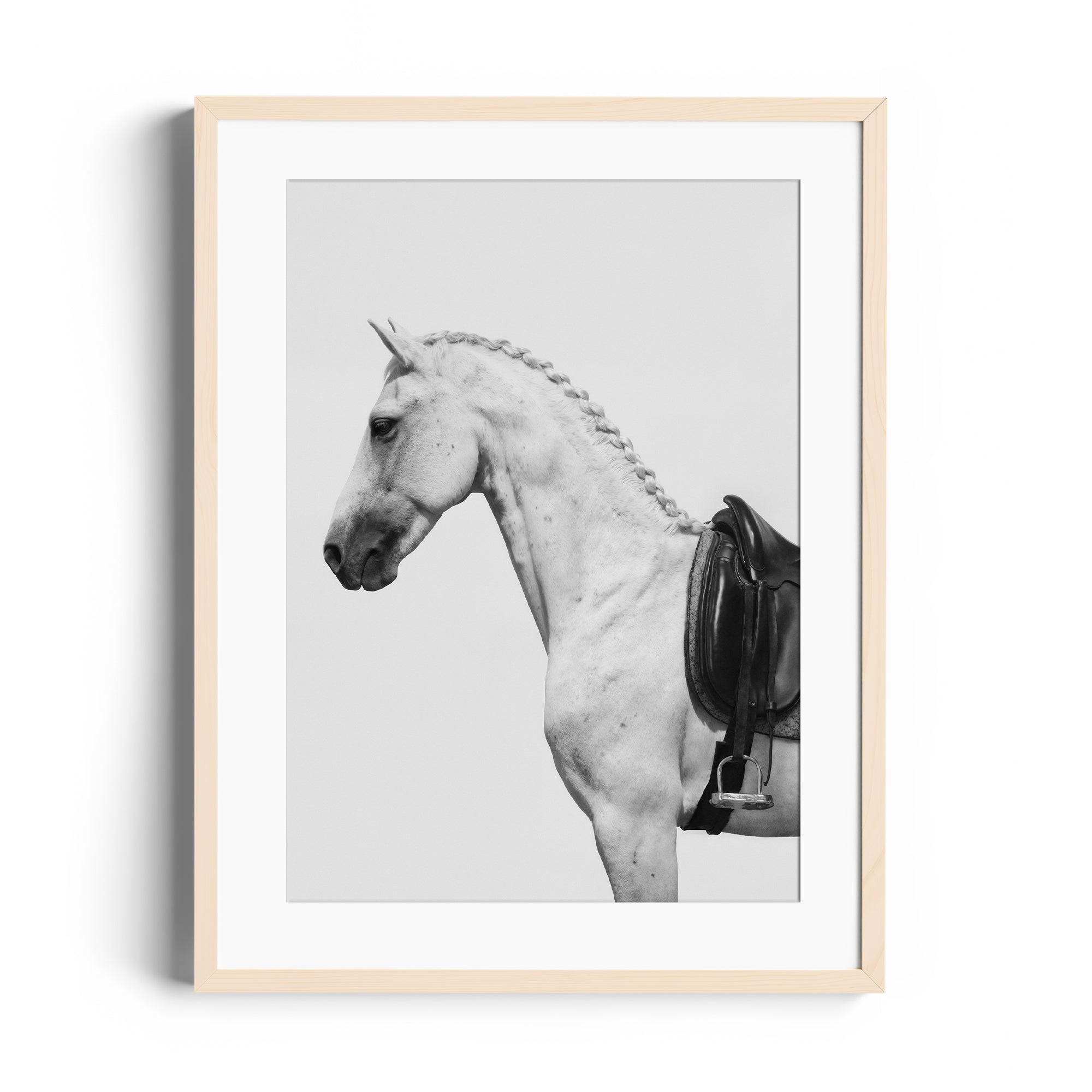 Fine art photography of a dappled grey horse with an English saddle in a limited edition print, ready to hang.