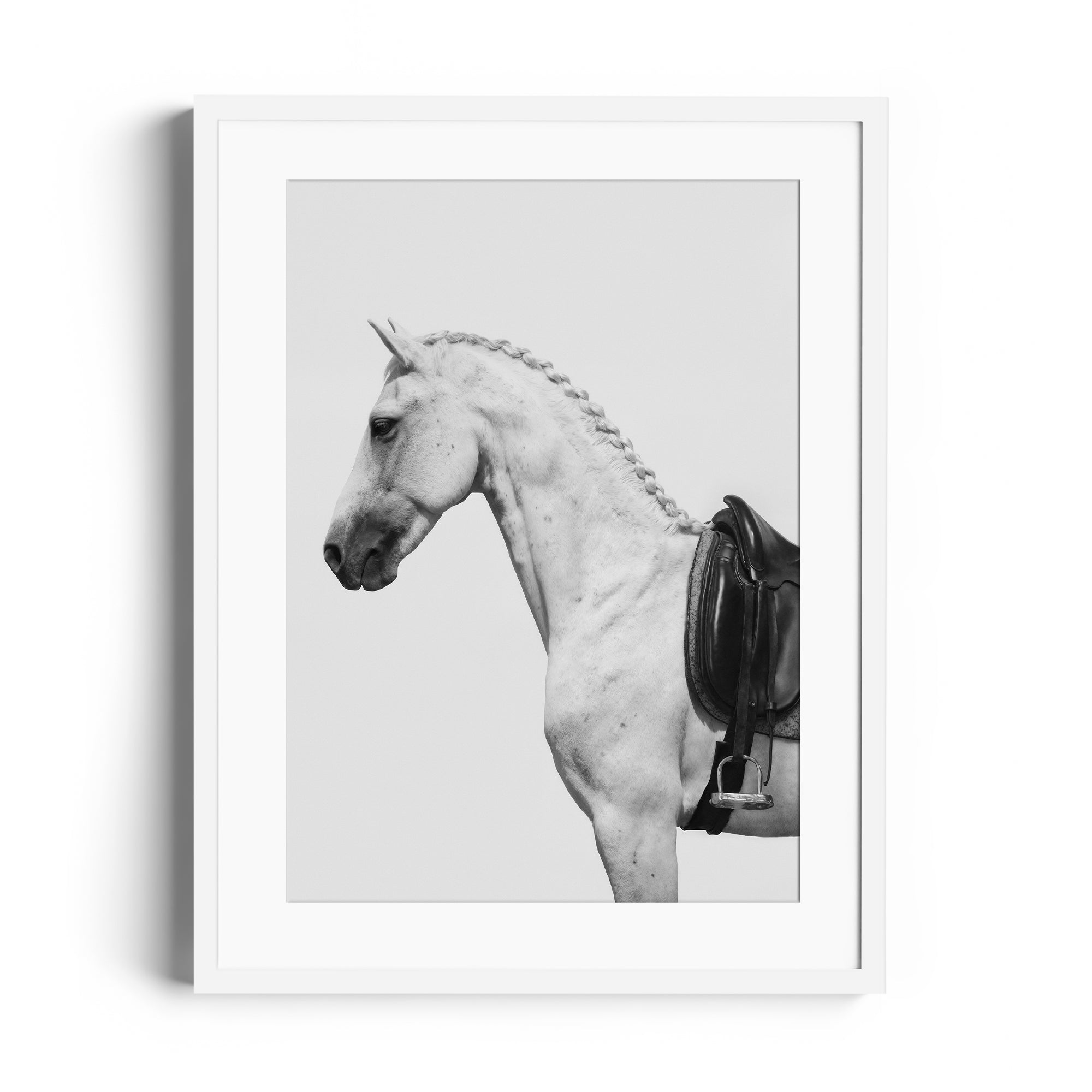 Fine art photography of a dappled grey horse with an English saddle, framed ready to hang, limited edition print.