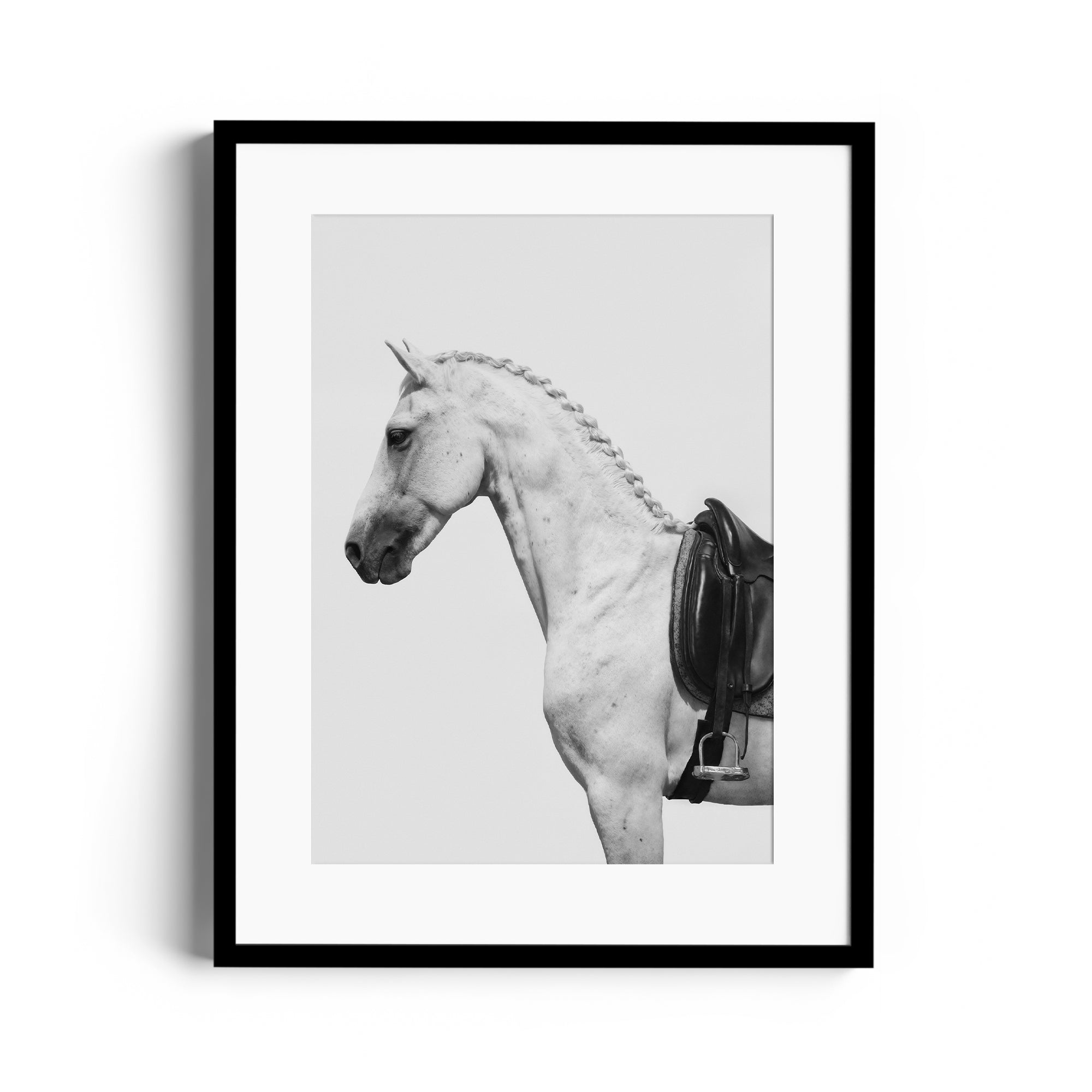 Fine art photography of a grey horse with an English saddle in a striking monochromatic composition, limited edition print.