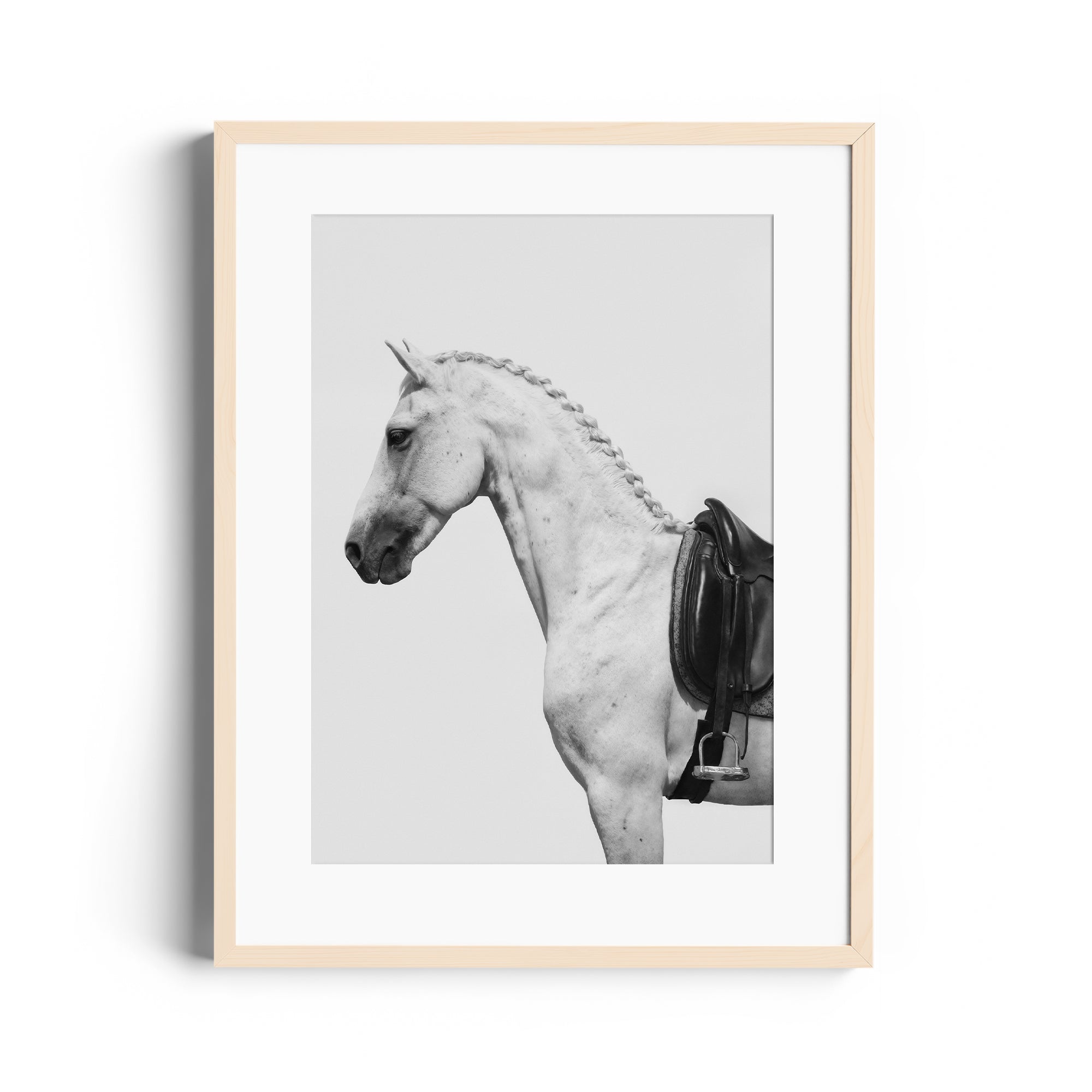 Monochromatic fine art photography of a dappled grey horse with an English saddle in a framed limited edition print.