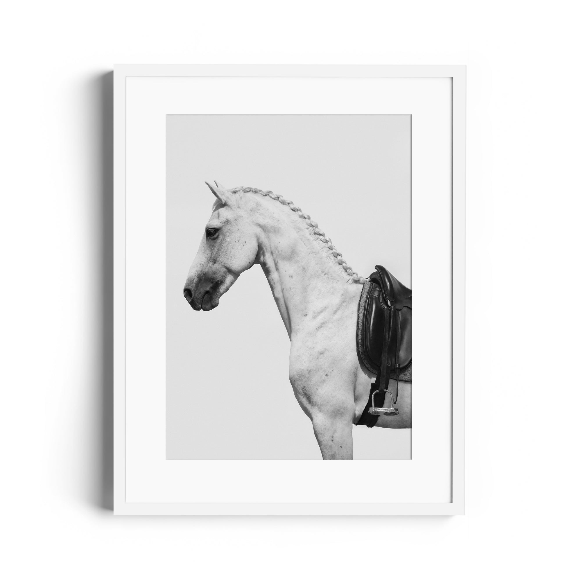 Fine art photography of a dappled grey horse with an English saddle, limited edition ready to hang print.