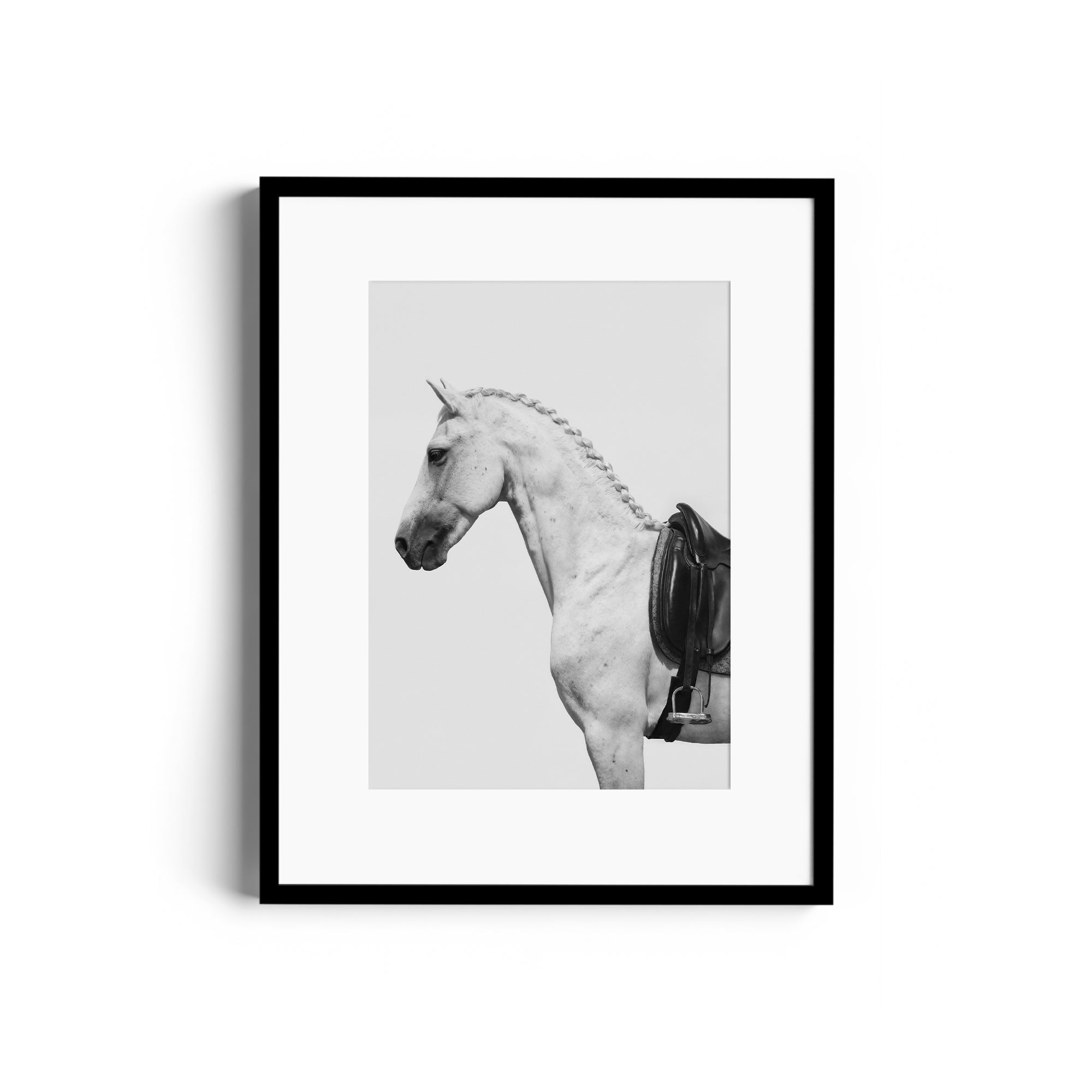 Monochromatic fine art photograph of a dappled grey horse with an English saddle, framed and ready to hang. Limited edition print.