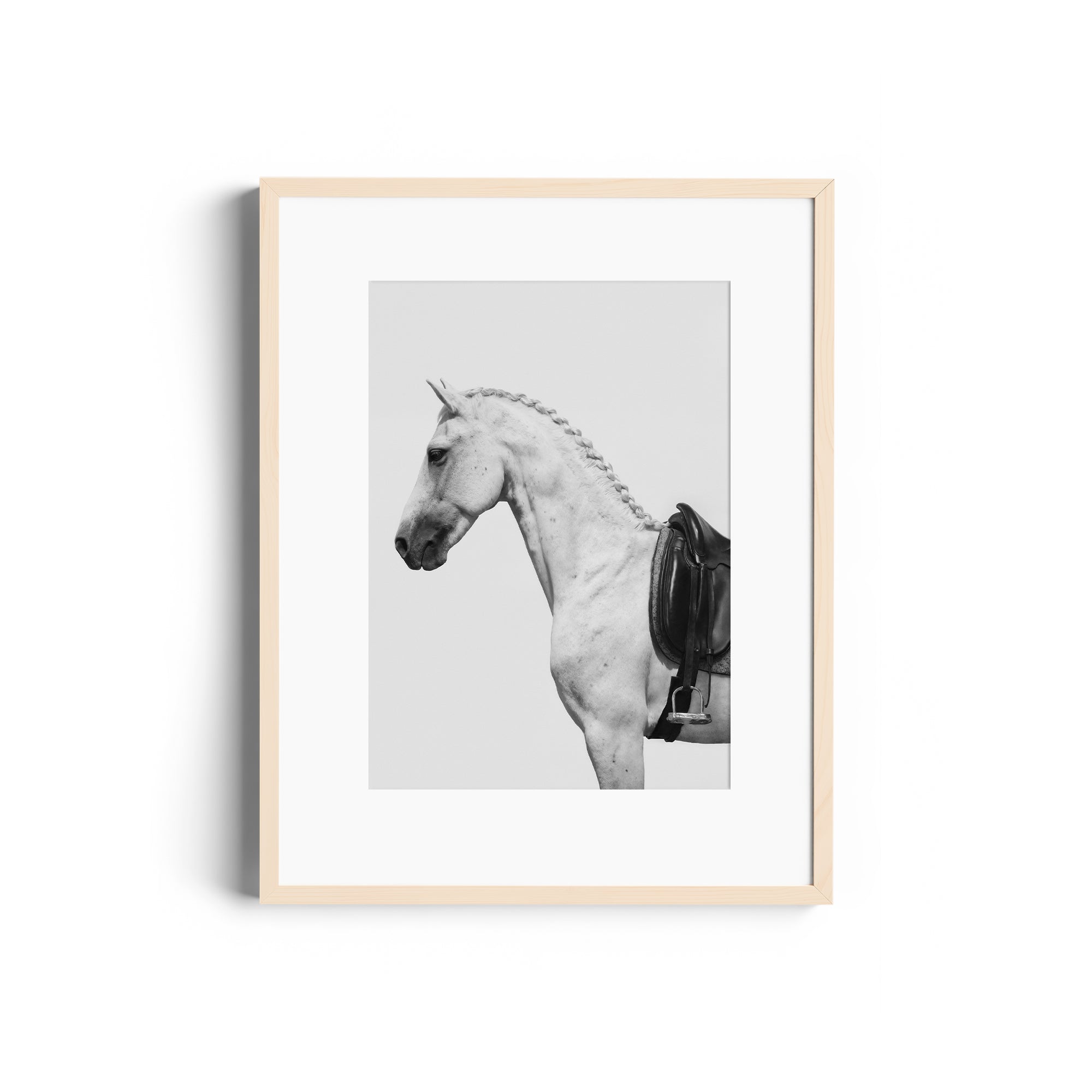 Limited edition fine art photography of a dappled grey horse with an English saddle, ready to hang and museum quality.