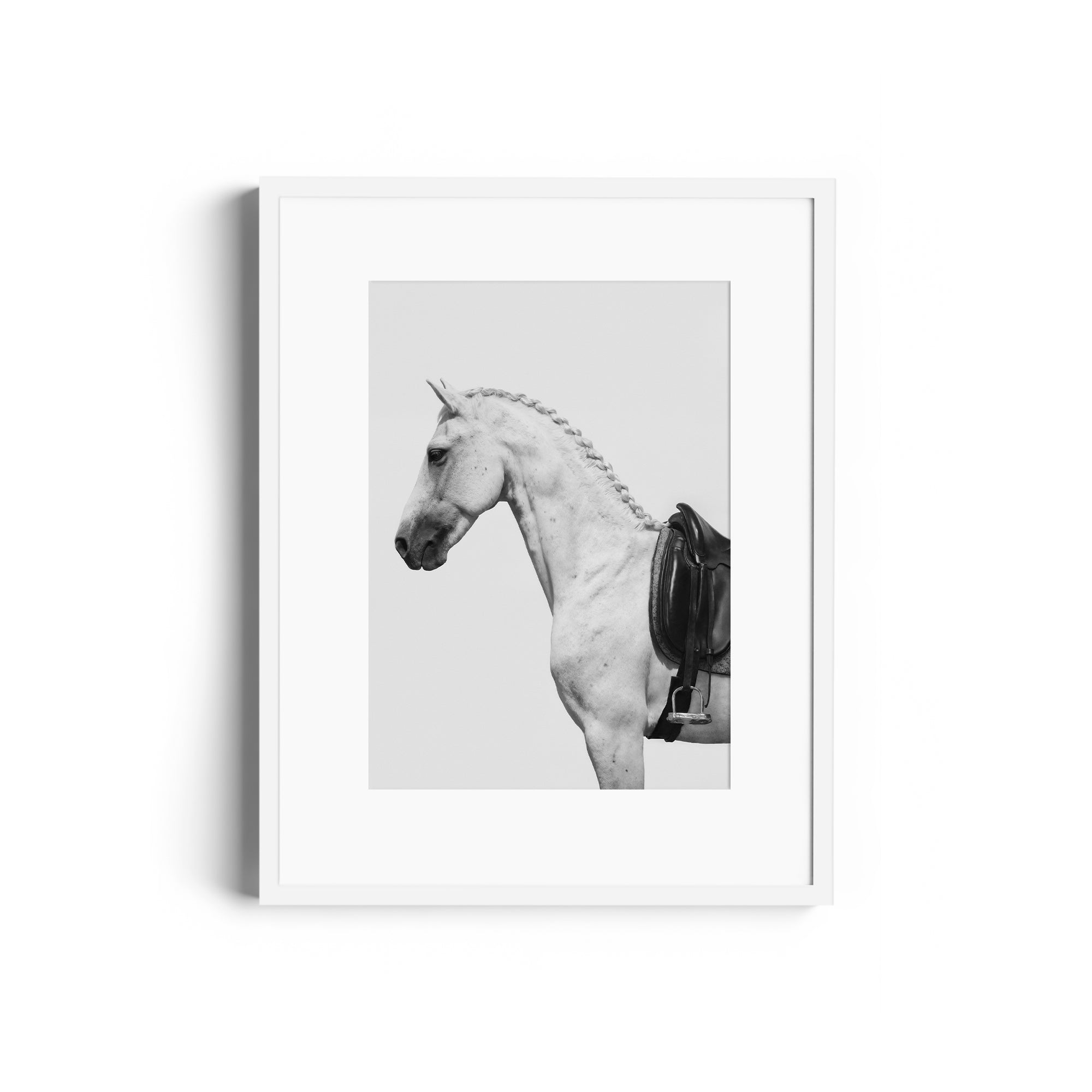 Monochromatic fine art photography of a dappled grey horse with saddle, limited edition, ready to hang, museum quality.