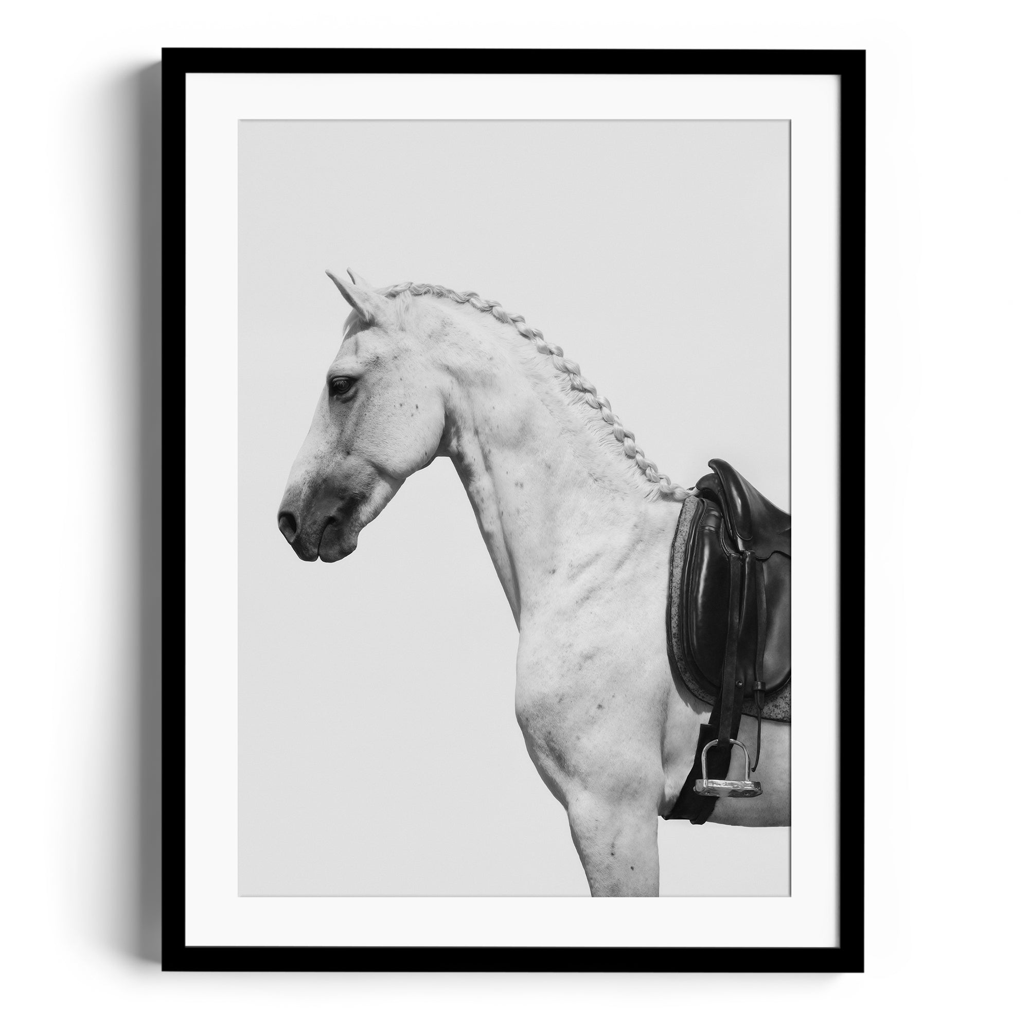 Limited edition fine art photography of a dappled grey horse with an English saddle, ready to hang in a contemporary art gallery.