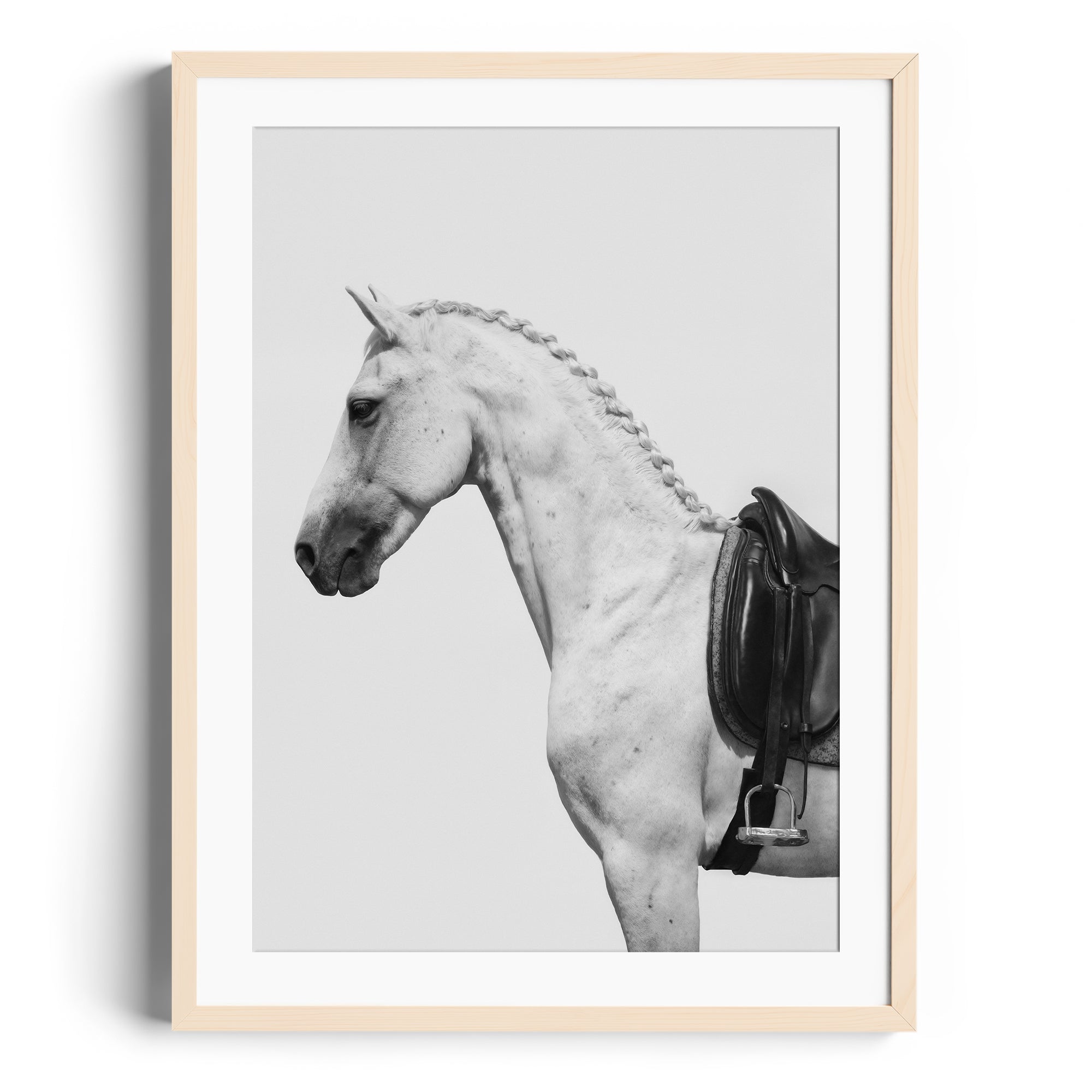 Limited edition fine art photography of a dappled grey horse with an English saddle, framed and ready to hang.