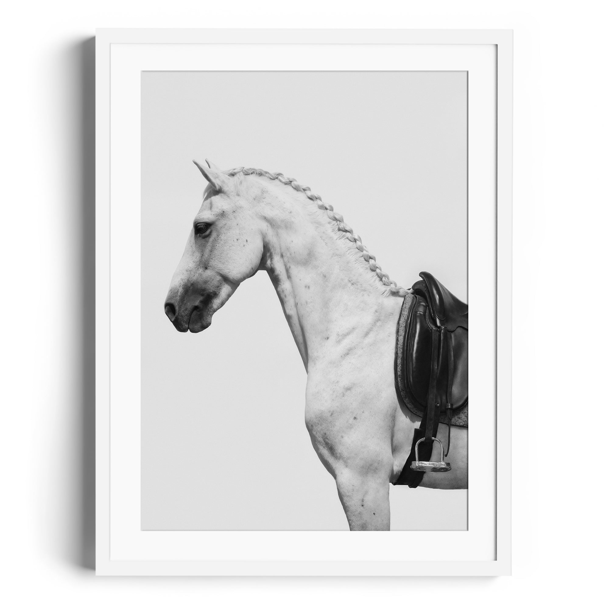 Limited edition fine art photography of a dappled grey horse with an English saddle, showcasing equestrian elegance.